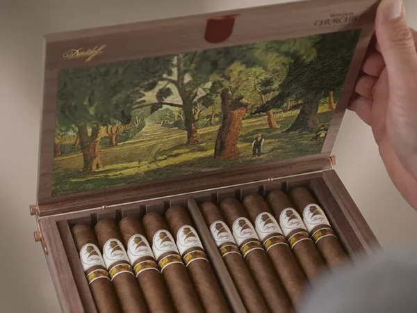 Davidoff - Image 5